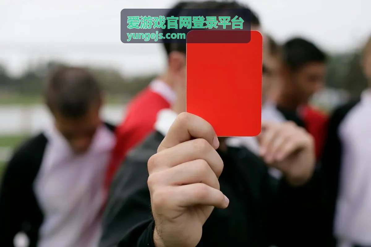爱游戏官网登录平台密码找回路径说明封面
