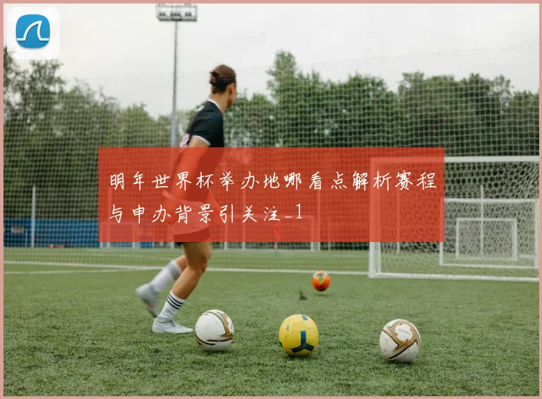 明年世界杯举办地哪看点解析赛程与申办背景引关注_1