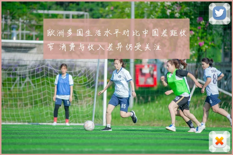 欧洲多国生活水平对比中国差距收窄 消费与收入差异仍受关注